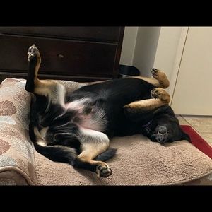 Meet your Posher, Shane